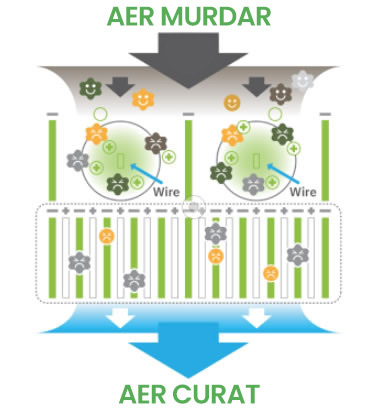 plasma air clean house